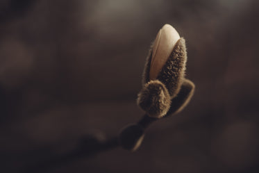 Three Small Steps to Grow Into Big Things